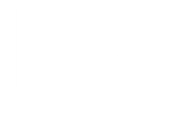 BRIDGE MERCH